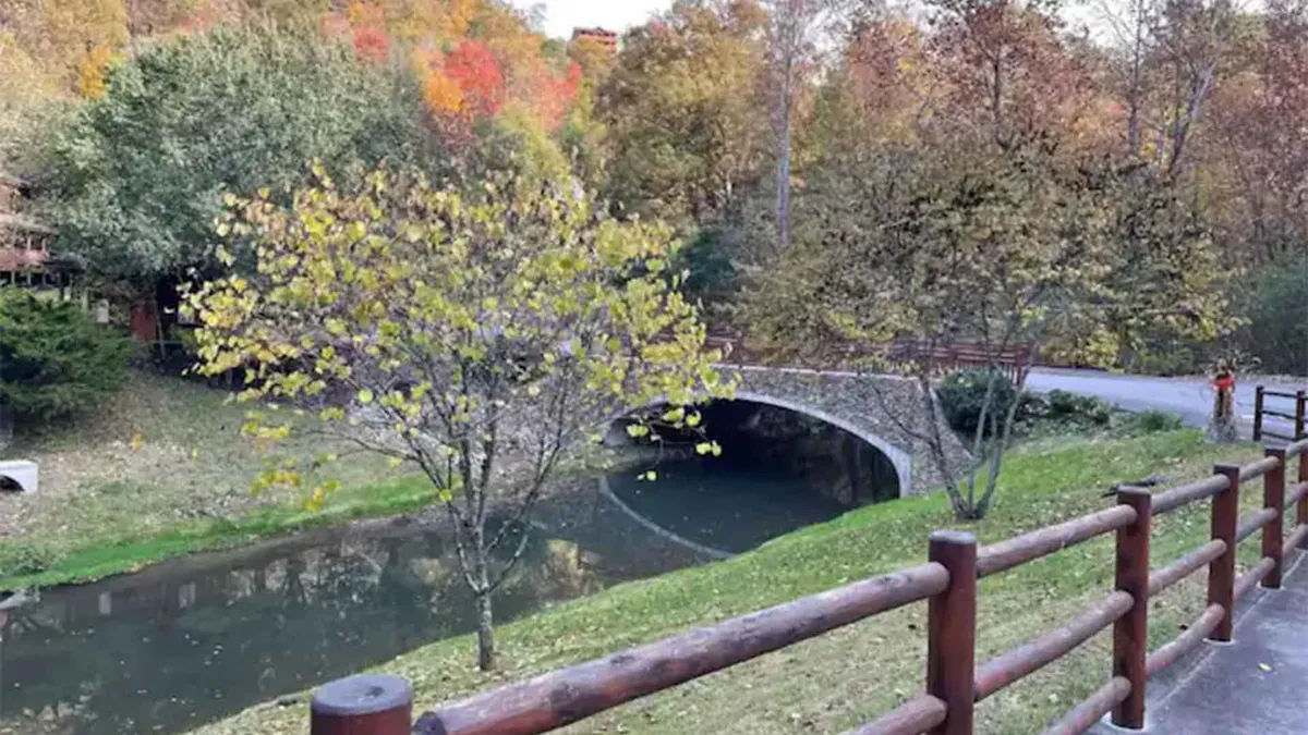 A tranquil scene showcasing a stone bridge over calm water, surrounded by vivid autumn foliage and a wooden railing—perfect for nature walks and peaceful moments.
