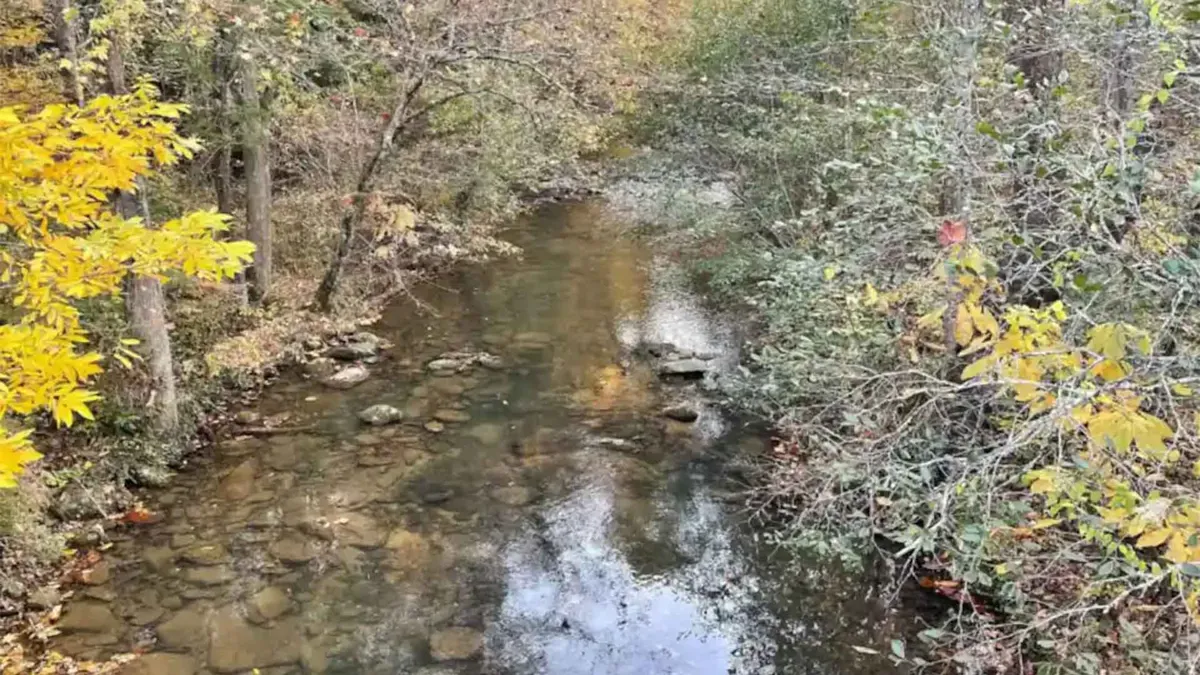 A flowing creek winds through a landscape of vibrant autumn foliage, its waters reflecting the fiery colors of the trees. The scene is serene, with spots perfect for nature walks, birdwatching, or a quiet picnic by the water. This natural setting evokes the heart of the national park experience, with a strong emphasis on seasonal beauty and immersive outdoor activity.
